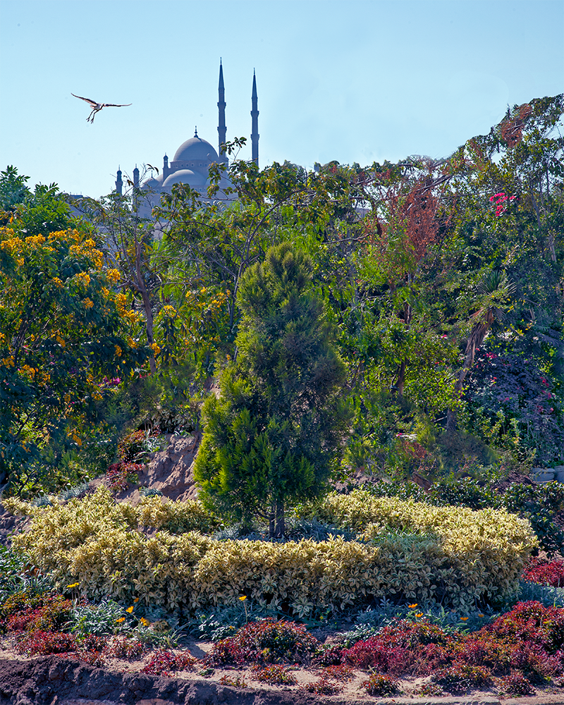 Garden of Egypt