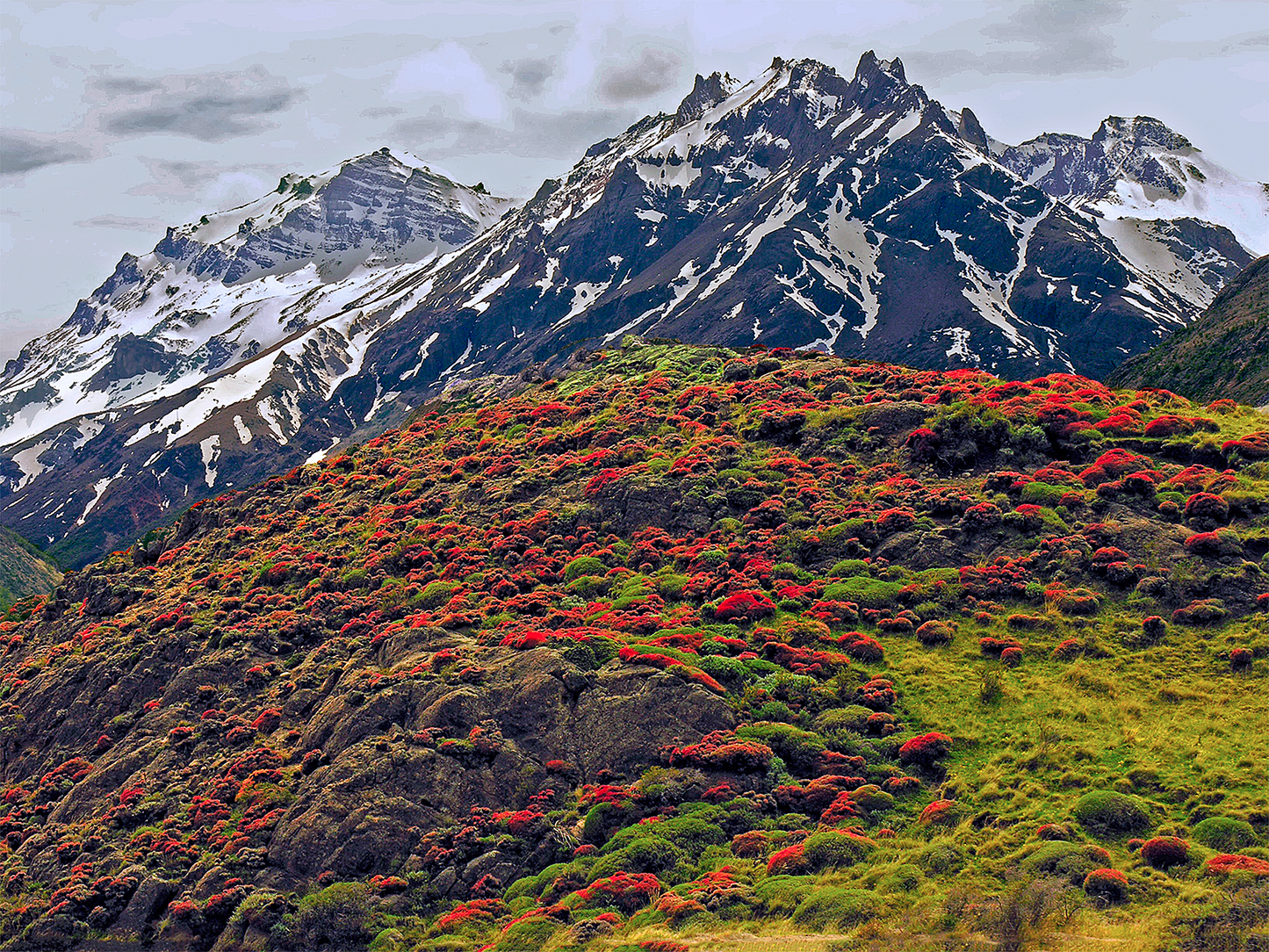 Andean Color