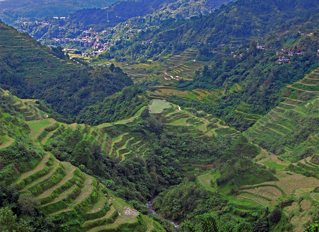 Ancient Terraces