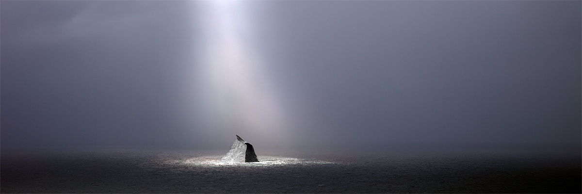 Fluke of Nature