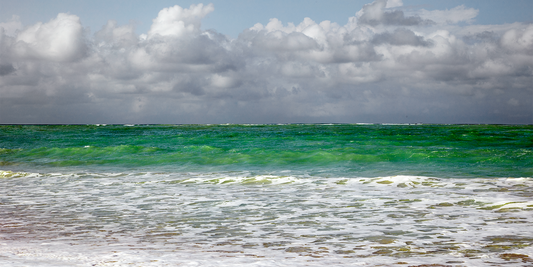 Caribbean Color