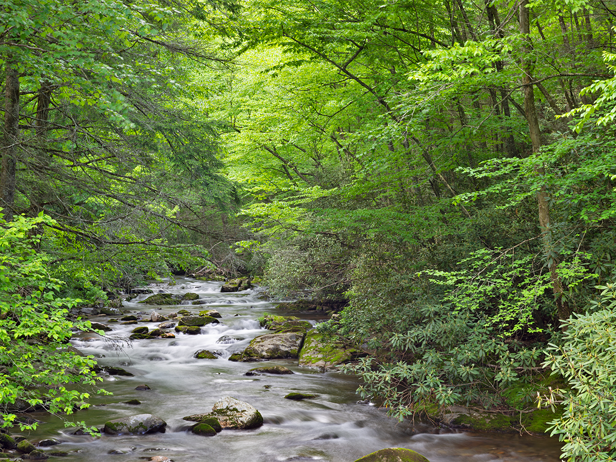 Blue Ridge Mountains