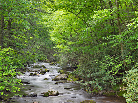 Blue Ridge Mountains