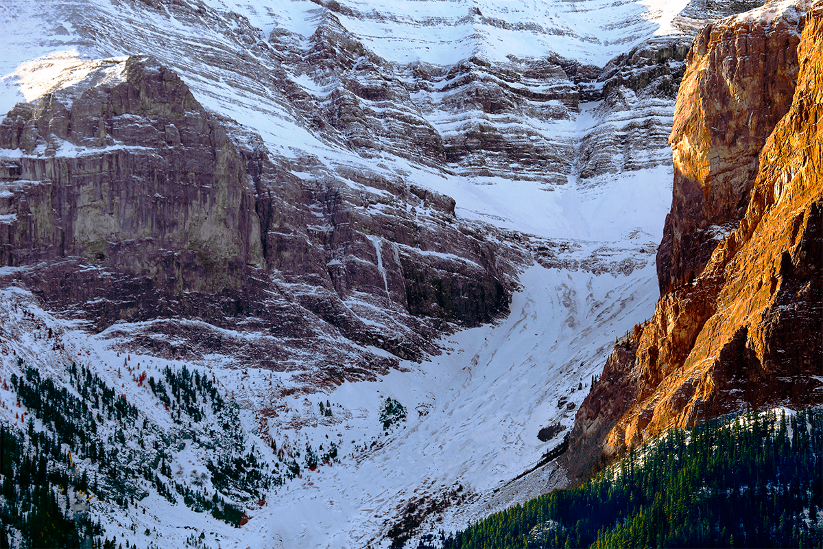 Alberta's Boast