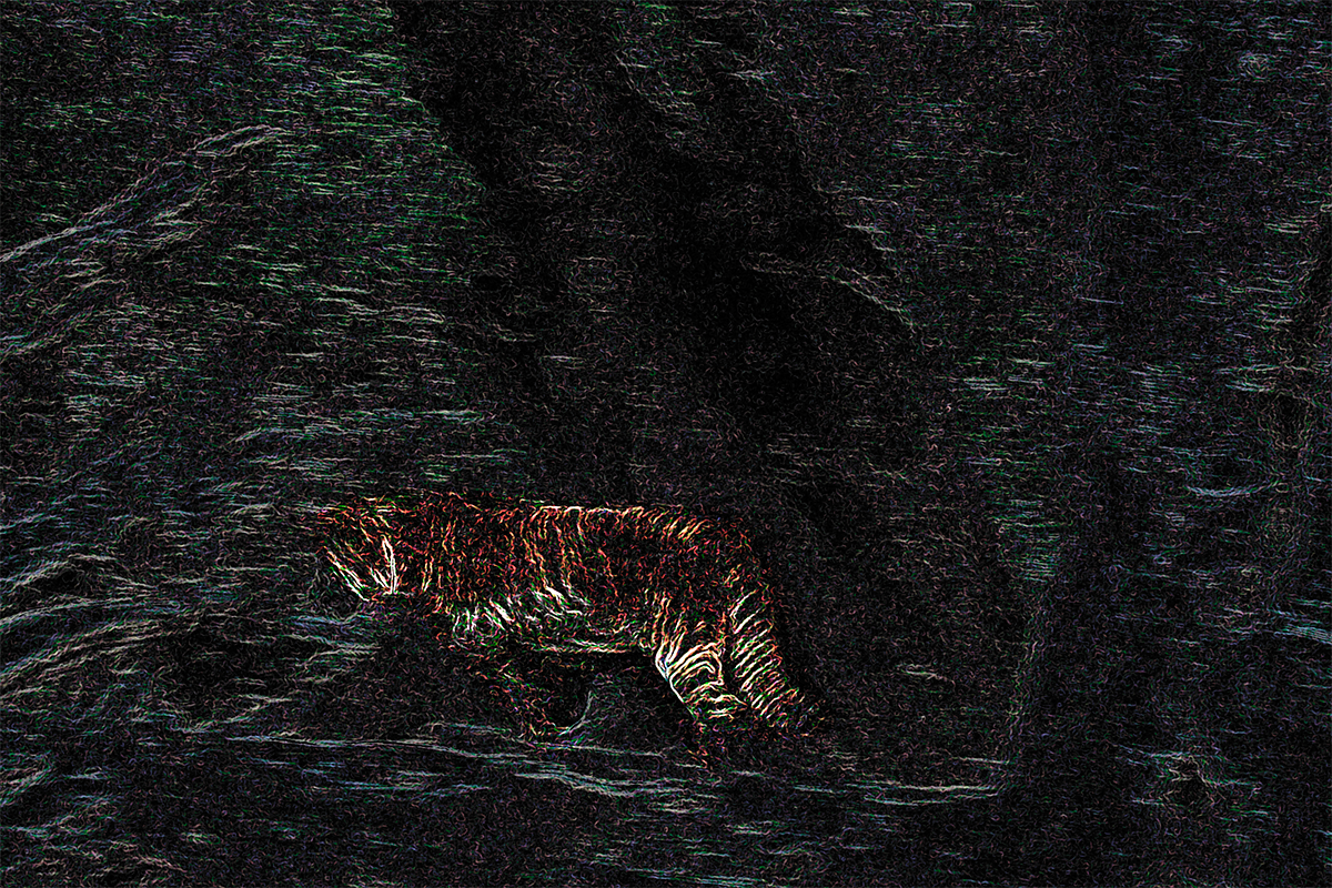 Abstract Tiger