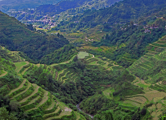 Ancient Terraces